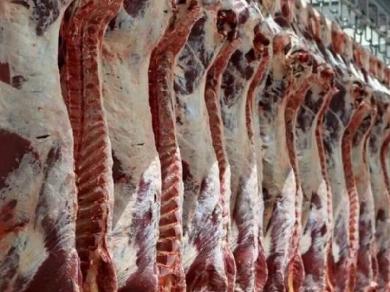 افزایش واردات گوشت قرمز