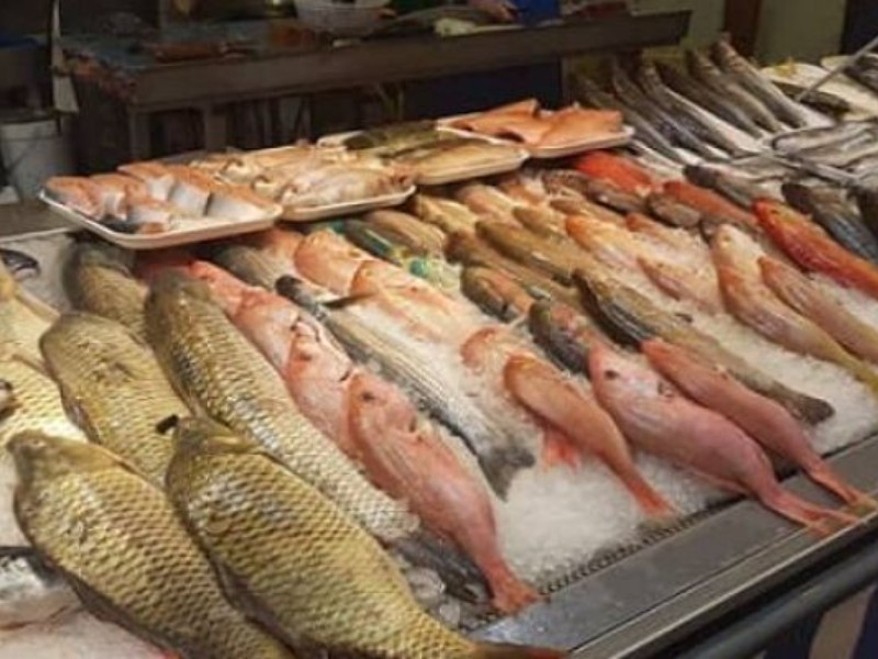 کرمانشاه درصدد افزایش ارزش‌افزوده محصولات آبزی است