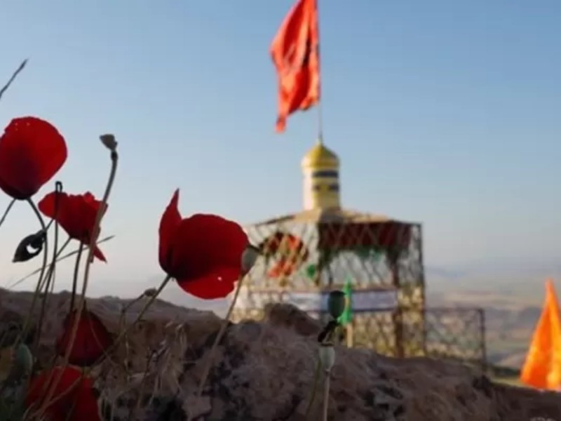 عملیات بازی‌دراز نمایش اقتدار و ولایت‌پذیری بود