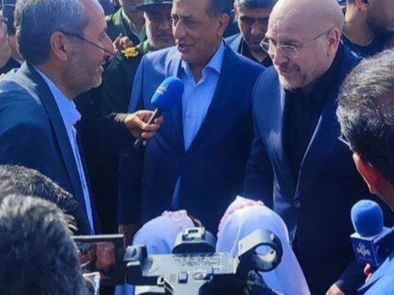 ورود جمعی از اعضای هیئت دولت به شهر طبس