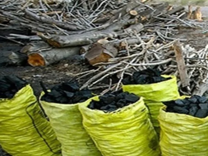 قاچاق زغال؛ چالش زیست‌محیطی اسلام‌آبادغرب