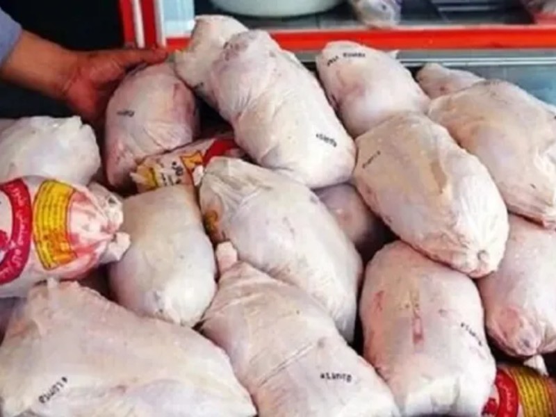 عرضه مرغ زنده عامل گرانی بازار مرغ اسلامآبادغرب عرضه مرغ زنده عامل گرانی بازار مرغ اسلامآبادغرب