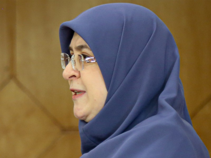 مهاجرانی افزایش ۴۰ درصدی قیمت بنزین را تکذیب کرد