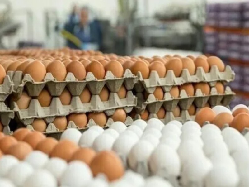 چالش افزایش قیمت تخم مرغ در اسلامآبادغرب چالش افزایش قیمت تخم مرغ در اسلامآبادغرب