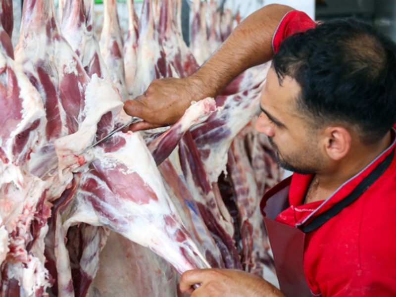 گوشت قرمز ایام ماه رمضان تامین شده است