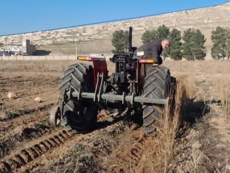 آغاز مرحله برداشت و آمادهسازی نهالهای ریشهلخت برای توزیع در استان کرمانشاه آغاز مرحله برداشت و آمادهسازی نهالهای ریشهلخت برای توزیع در استان کرمانشاه